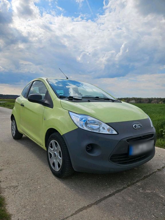 Ford Other