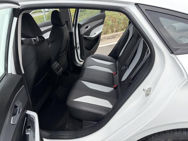 Geely Binrui