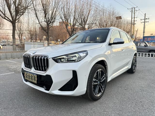 BMW BMW X1