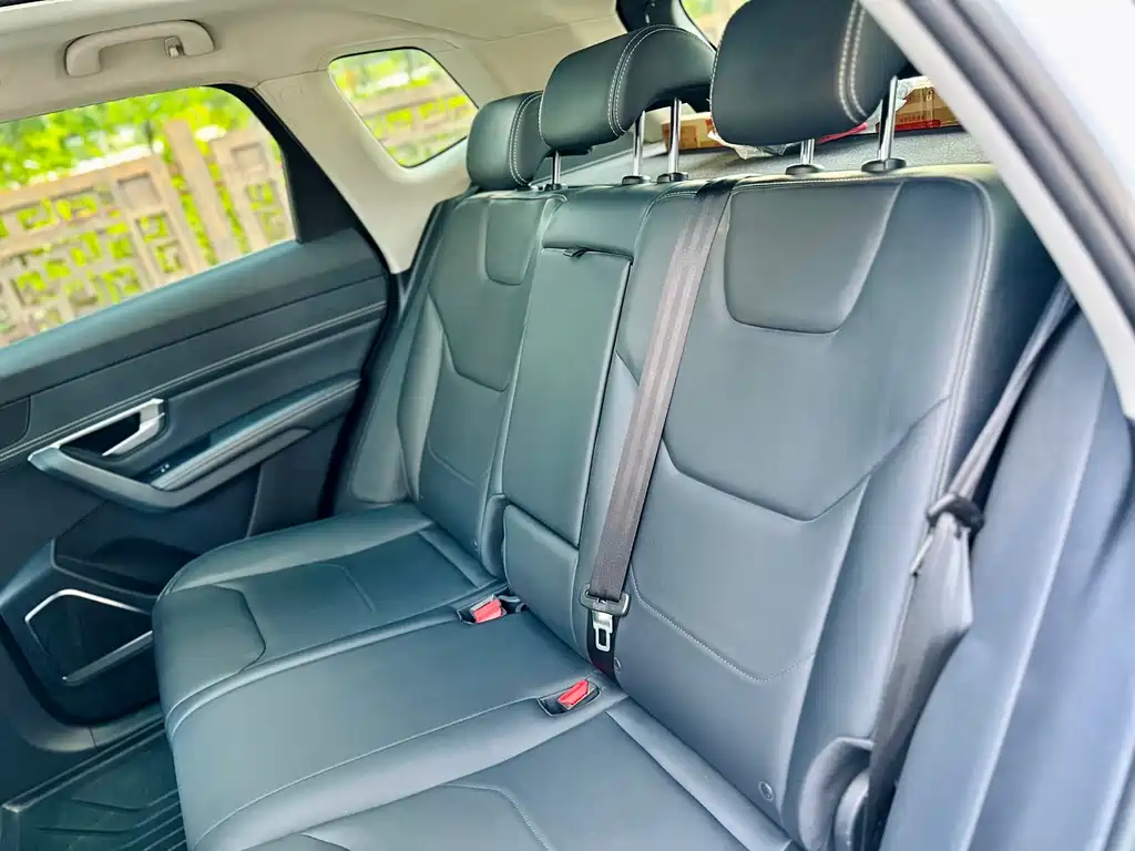 BYD Pro