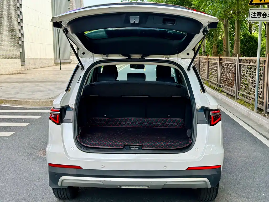 BYD Pro