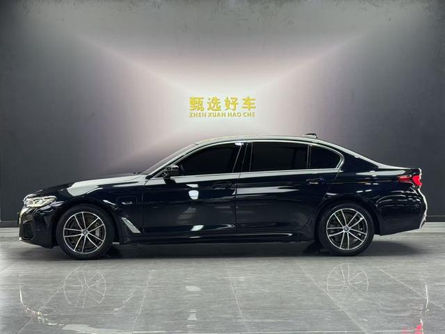 BMW BMW 5-Series PHEV