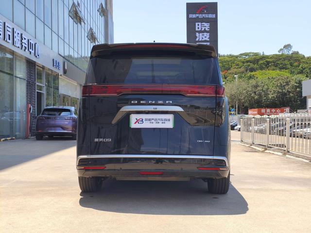 Denza Denza D9 DM