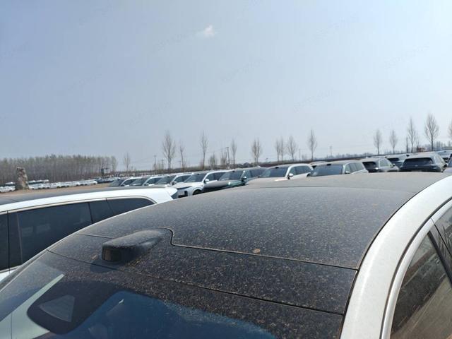 Li Auto Li Auto L8