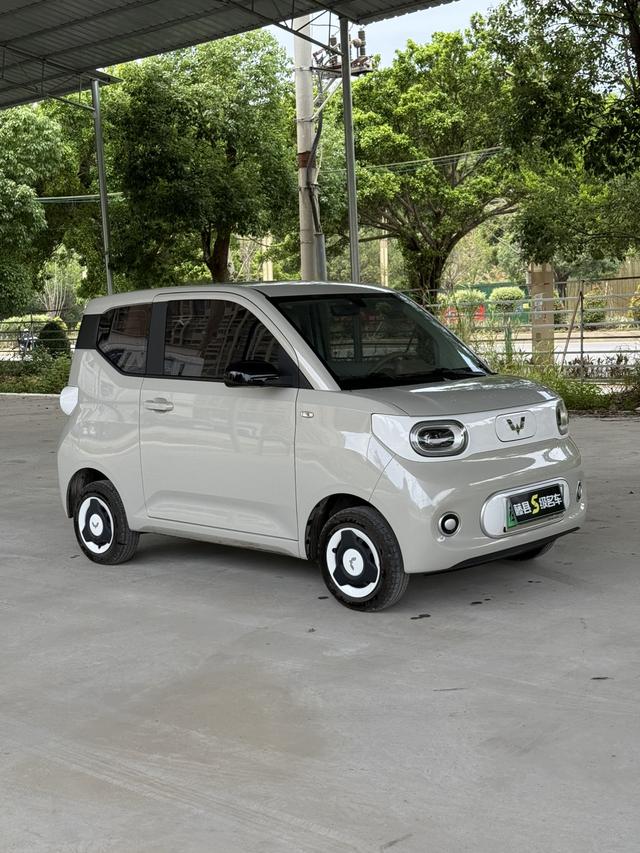 Wuling Wuling Hongguang MINIEV