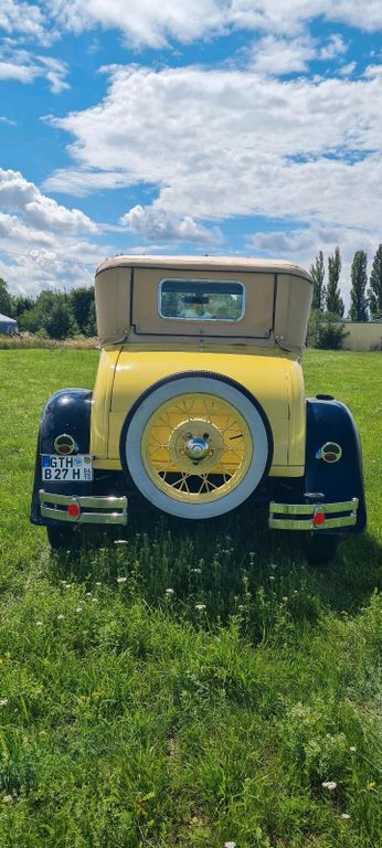 Ford Other