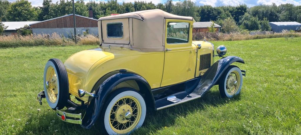 Ford Other