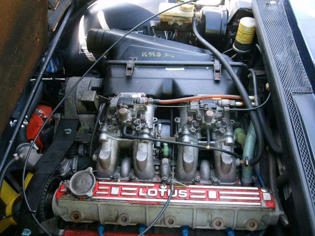 Lotus Excel