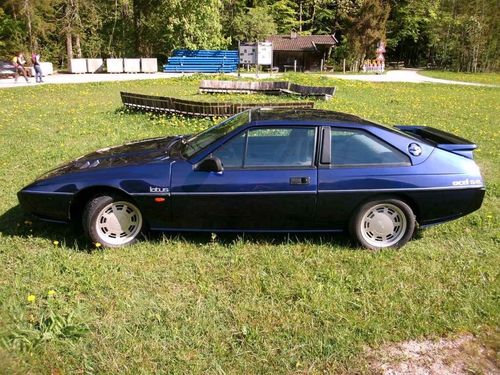 Lotus Excel
