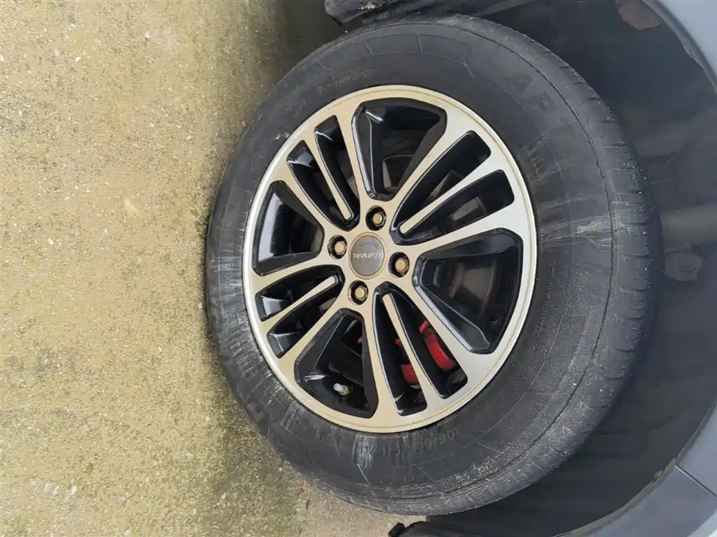 Haval H1