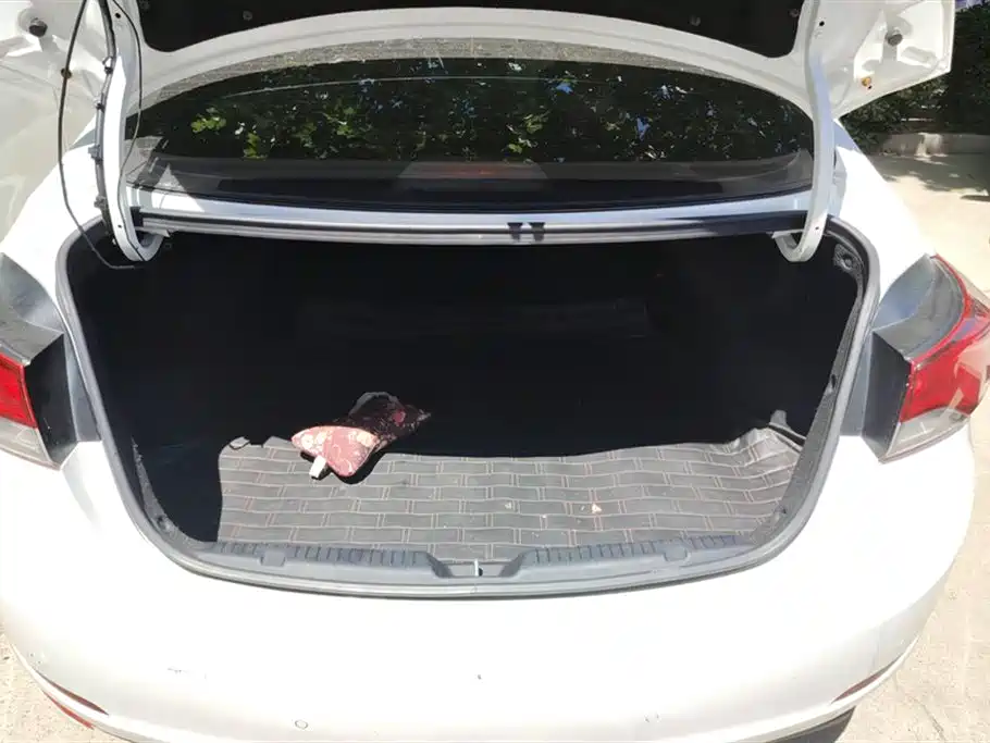 Hyundai Elantra Langdong