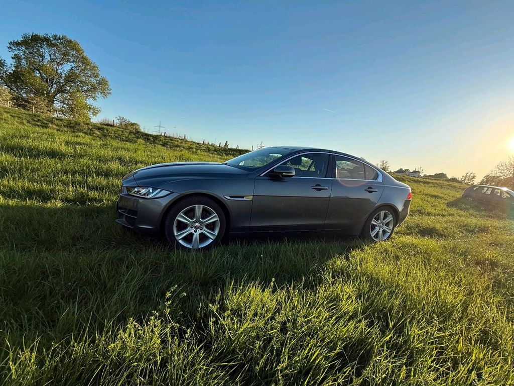 Jaguar XE