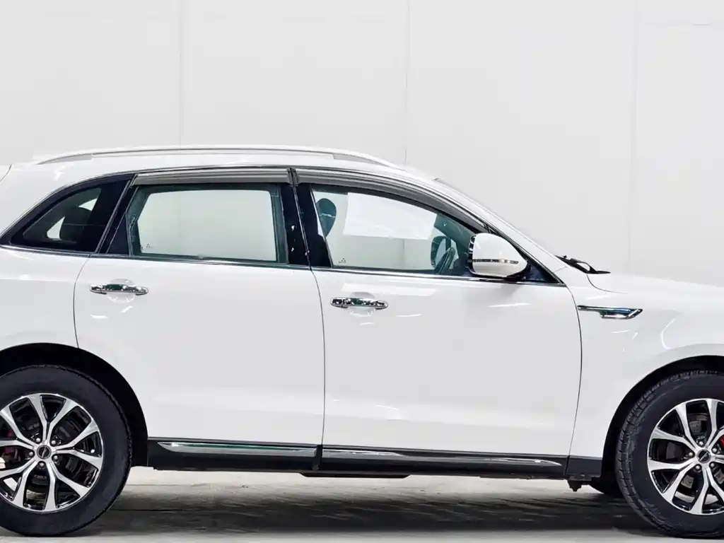 Zotye Zotye T600