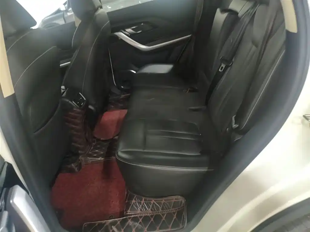 Zotye Zotye T500