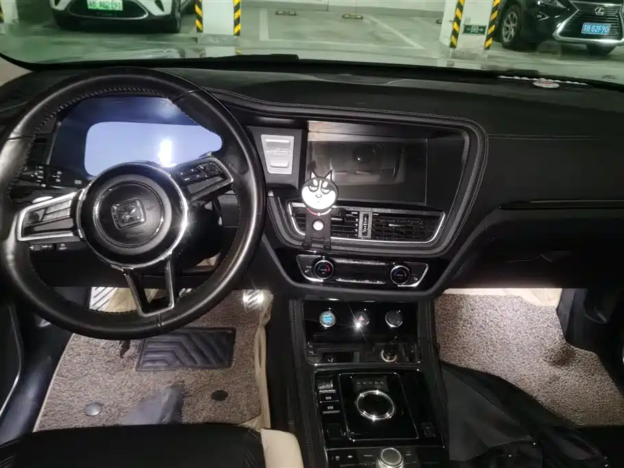 Zotye Zotye T600
