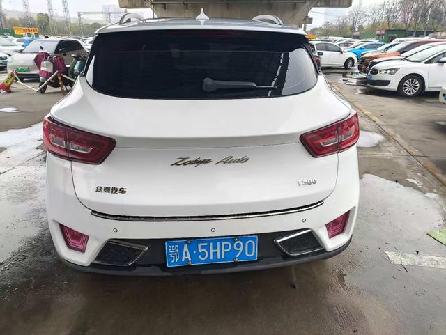 Zotye Zotye T300