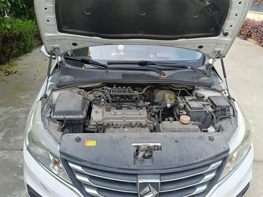 Baojun 310