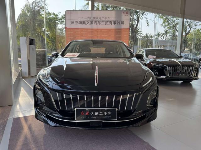 Hongqi Hongqi E-QM5