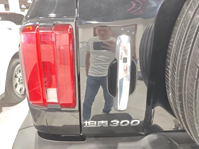 Tank Tank 300