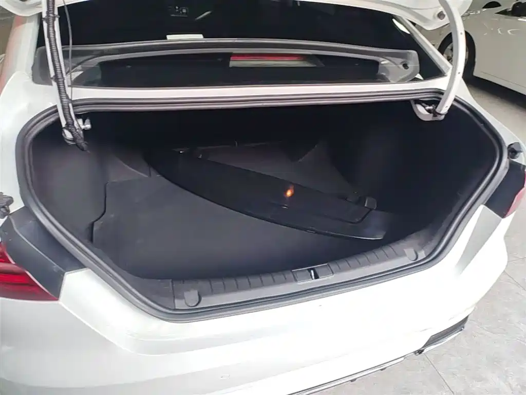 Geely Binrui