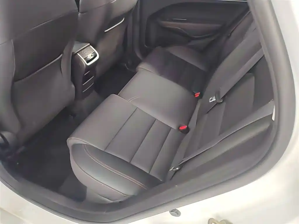 Geely Binrui