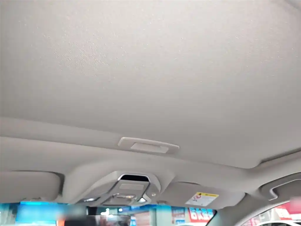 Geely Binrui
