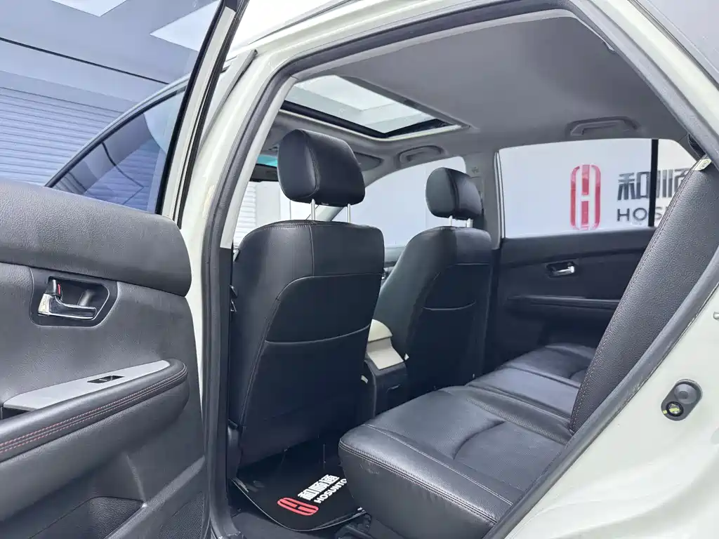 BYD S6