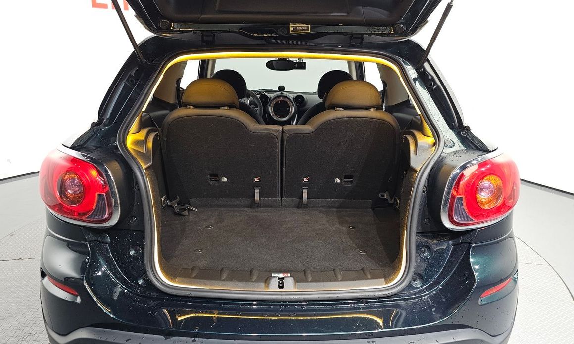Mini Paceman
