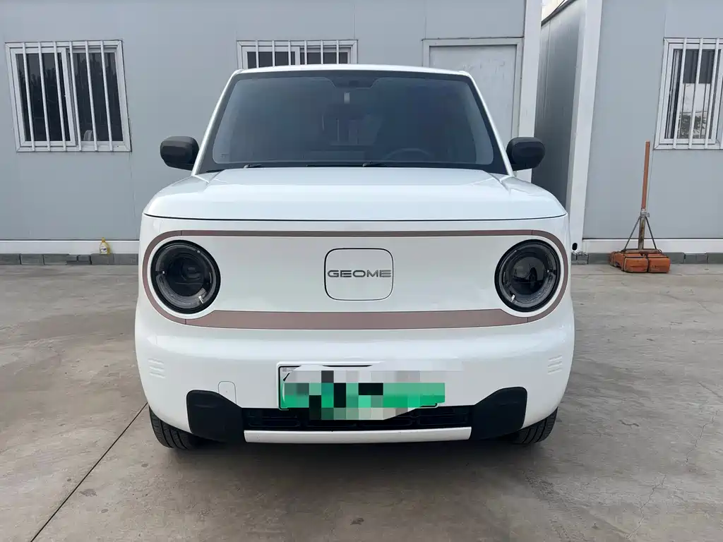 Galaxy Panda
