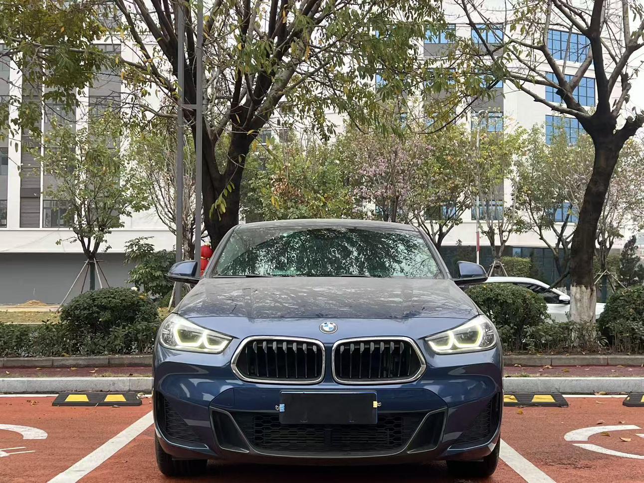 BMW BMW X2