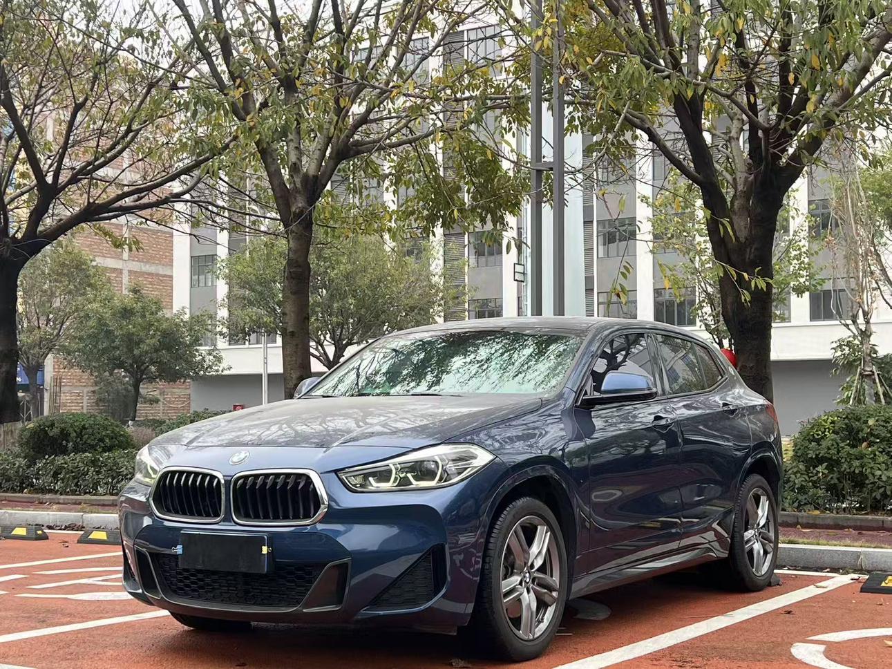 BMW BMW X2
