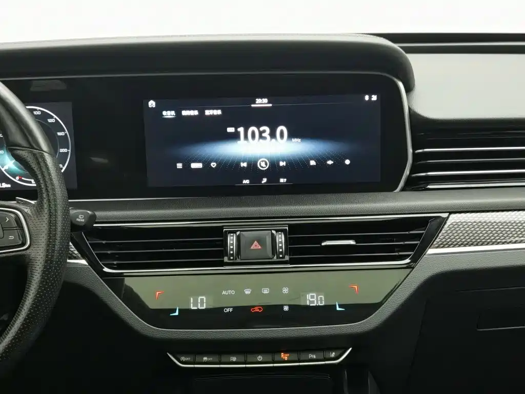 Hongqi Hongqi HS5