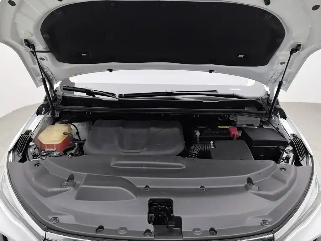 BYD MAX