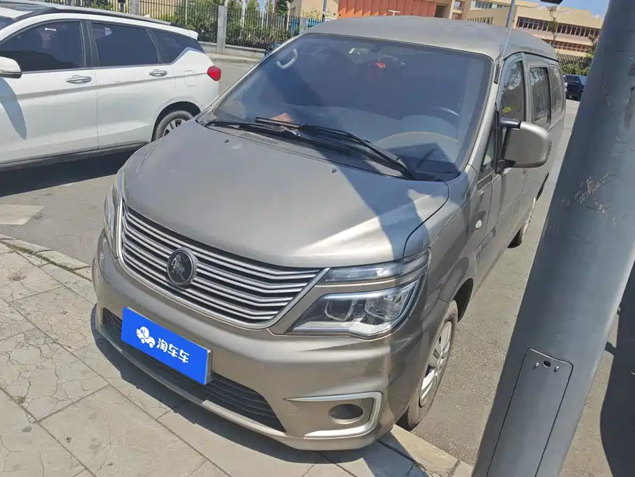 Fengxing Lingzhi