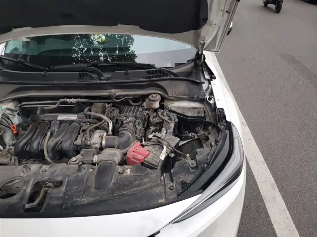 Honda XR-V