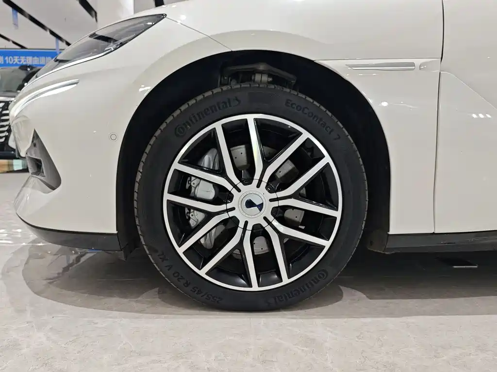 Denza Denza Z9