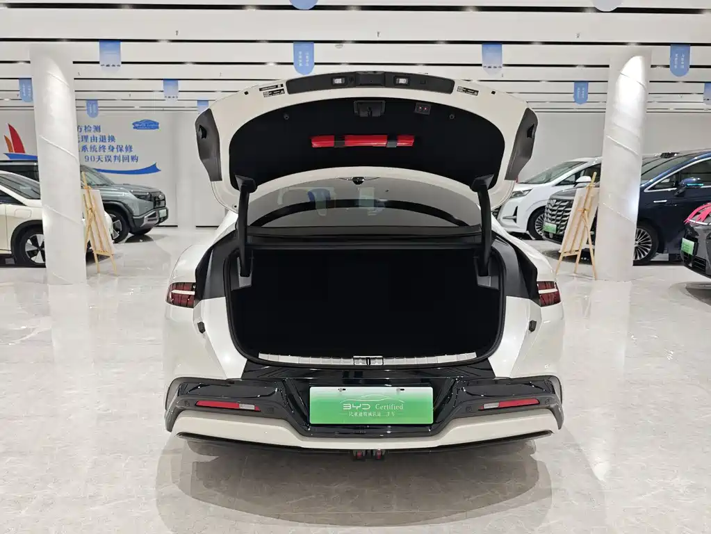 Denza Denza Z9