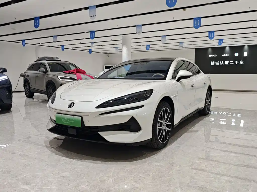 Denza Denza Z9