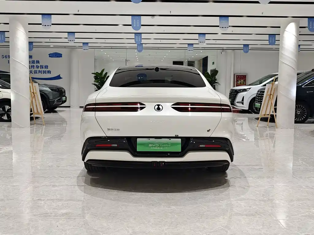 Denza Denza Z9