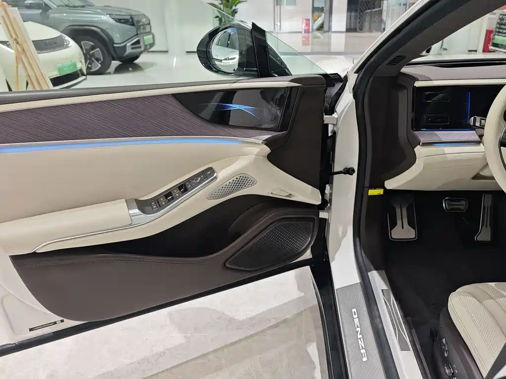 Denza Denza Z9
