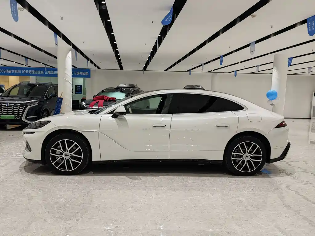 Denza Denza Z9
