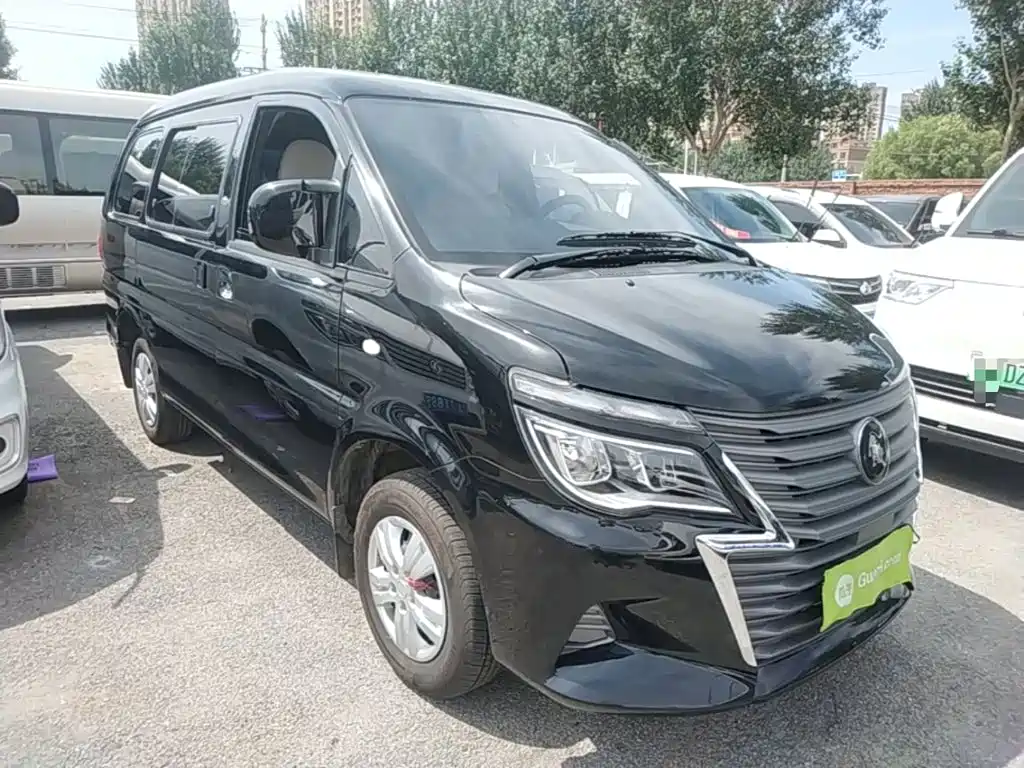 Fengxing Lingzhi