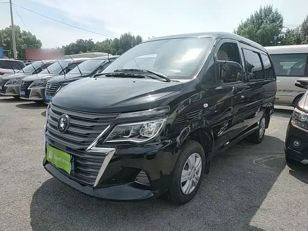 Fengxing Lingzhi