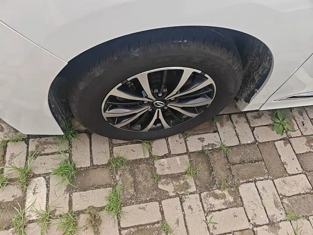GAC Motor Trumpchi M8