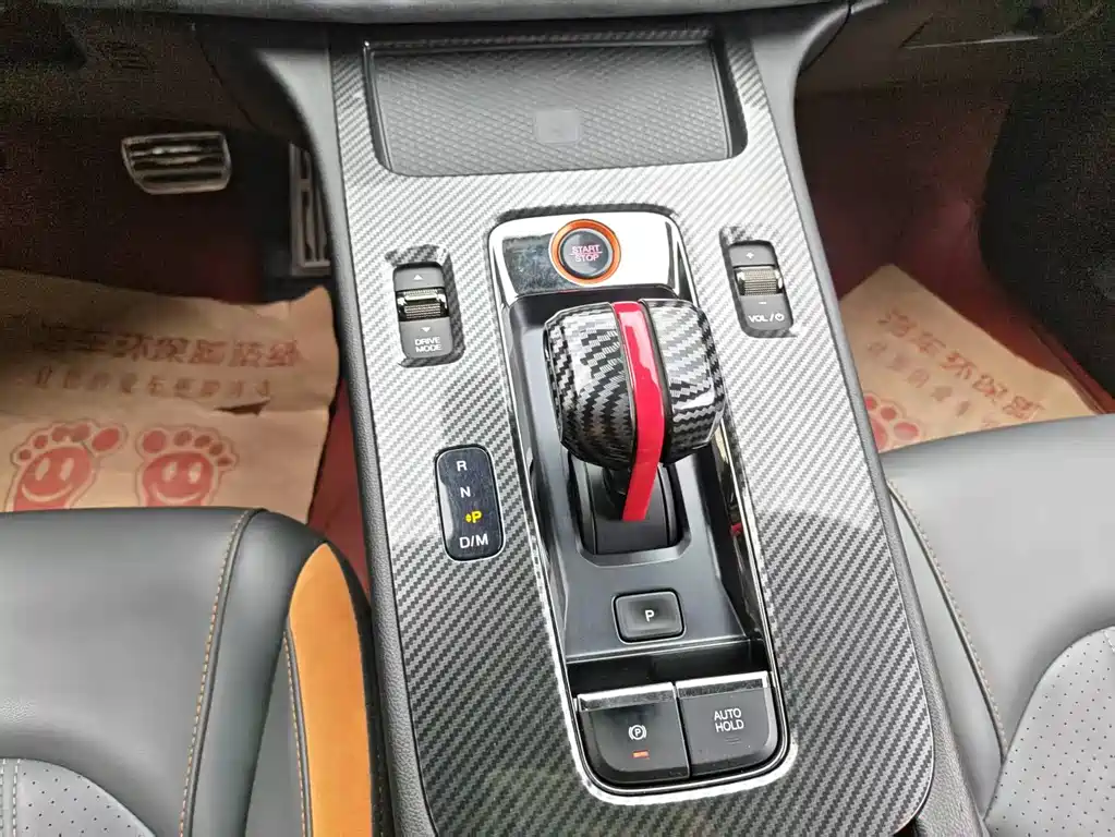 GAC Motor Shadow Leopard