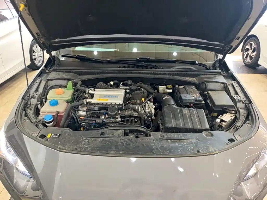 GAC Motor Shadow Leopard