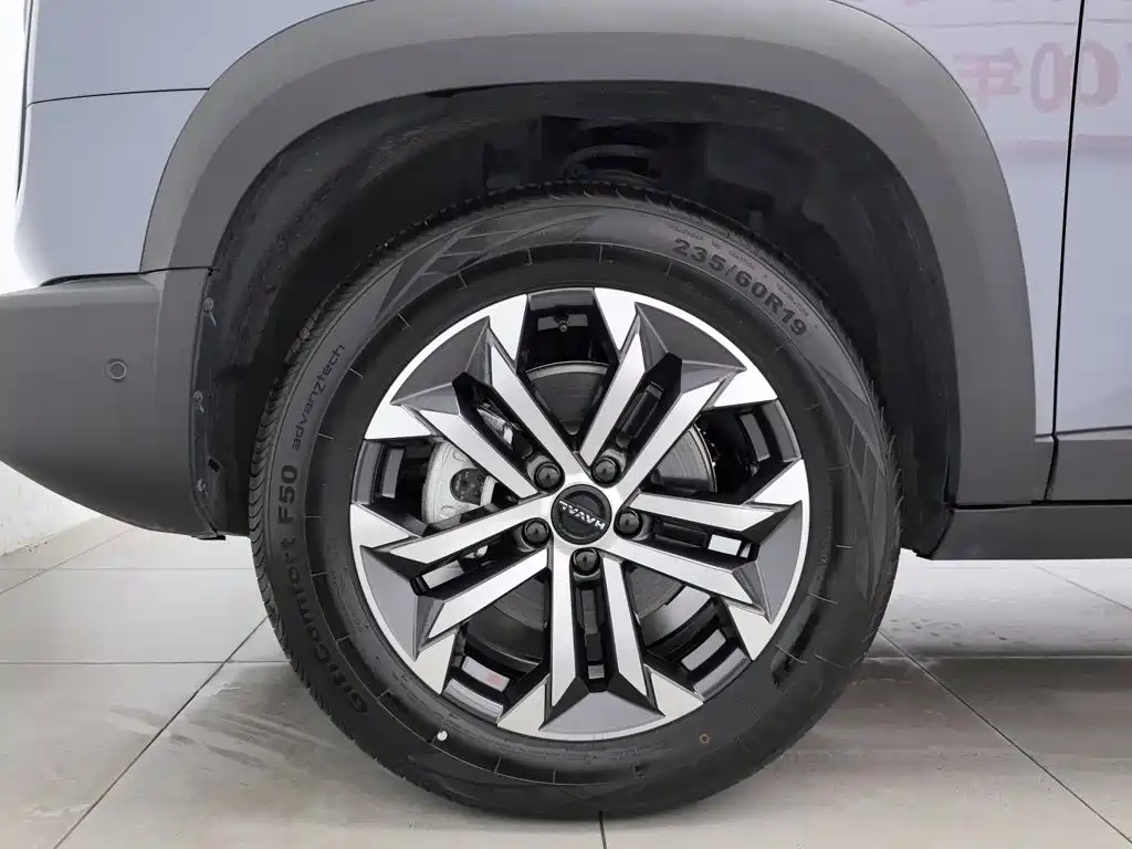 Haval Big Dog