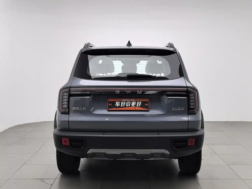 Haval Big Dog