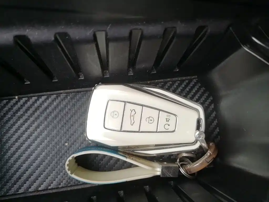 Geely Binrui