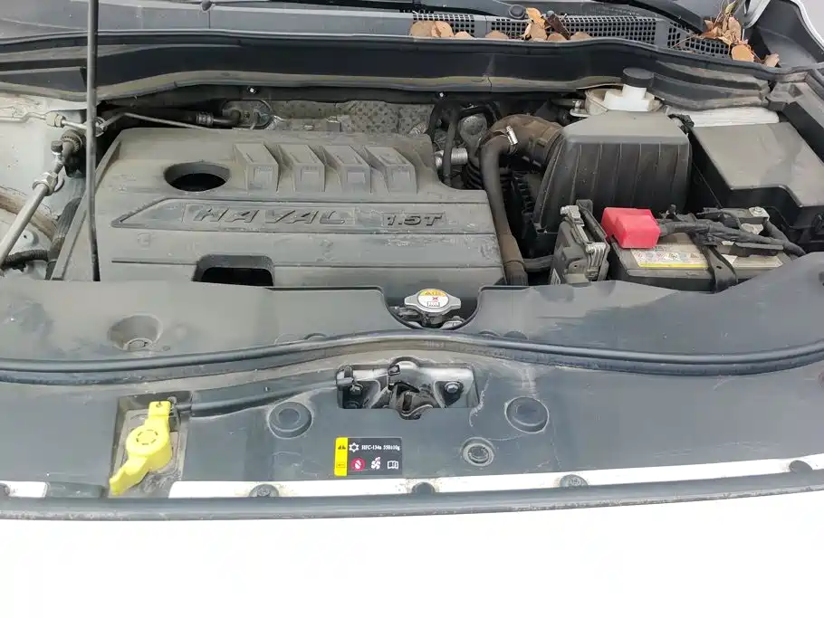 Haval M6